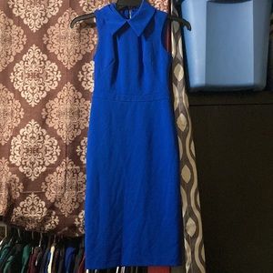 Royal Blue Collared Dress